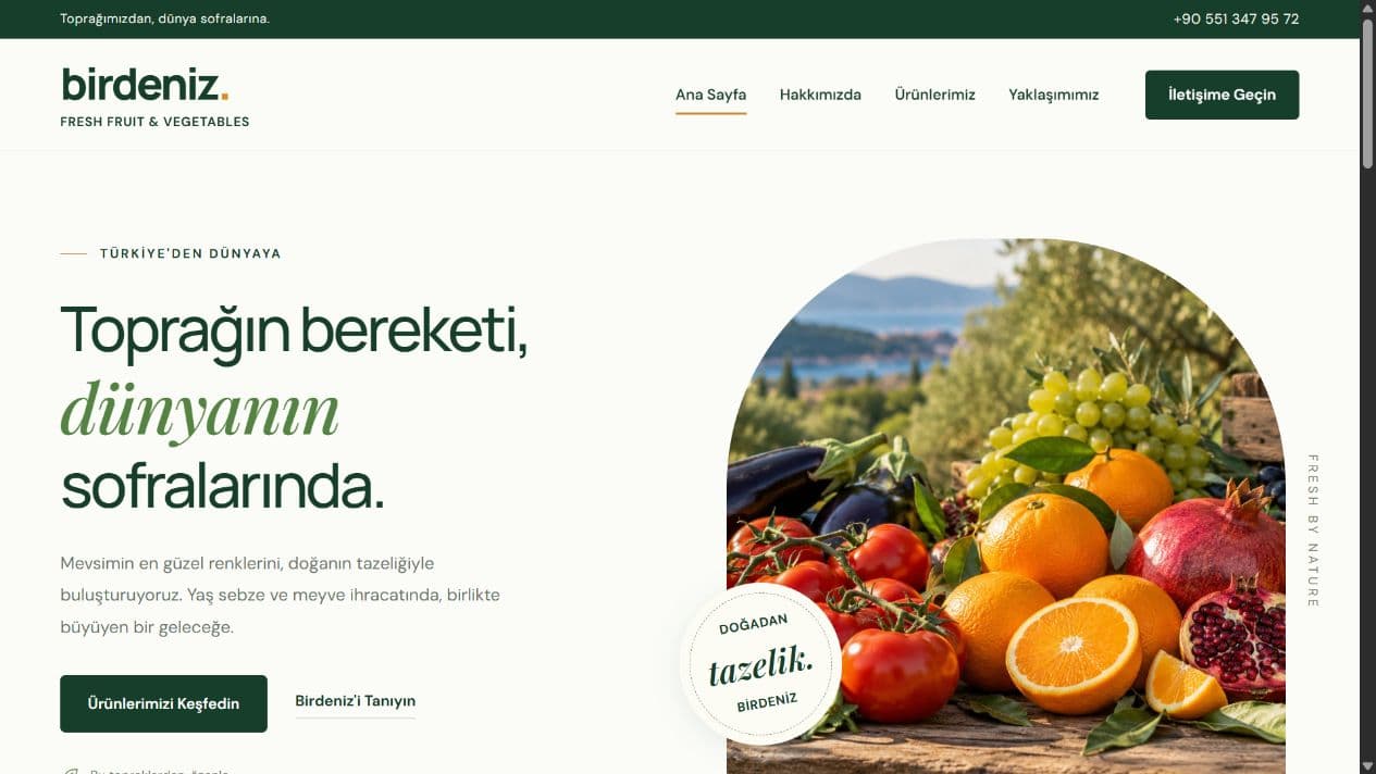 Birdeniz web sitesinin ana sayfa tasarımı
